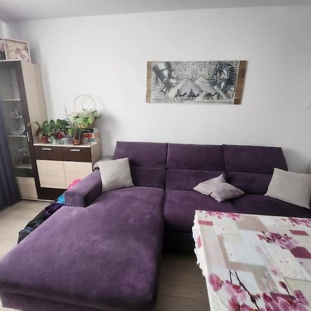 Modern Apartment. Best Location Sofia Buitenkant foto